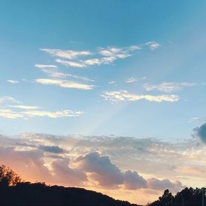 Meet your Posher, Jayden